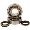 250 YZ 2001-- KIT ROULEMENTS DE VILEBREQUINS +SPY